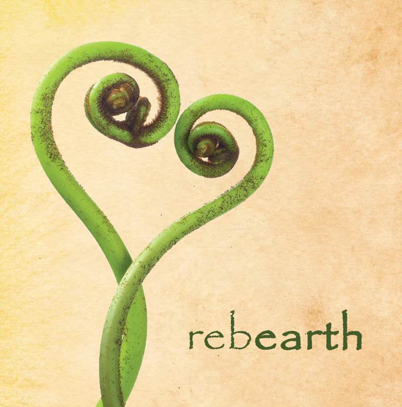 rebearth album cover