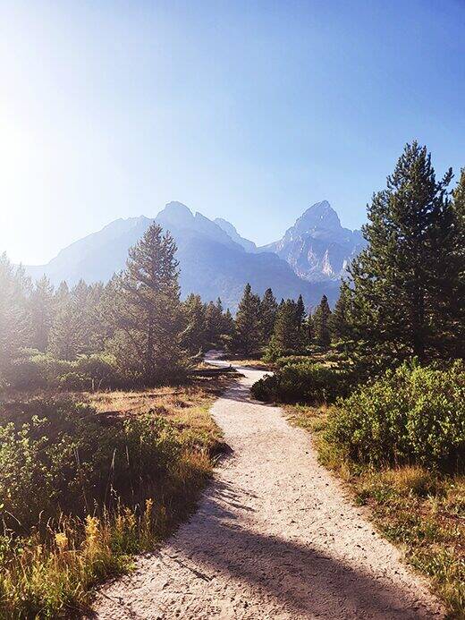 A sunlit trail toward the mountains
